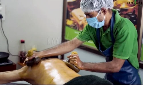 Kayakalya Nature Cure Center Udaipur about
